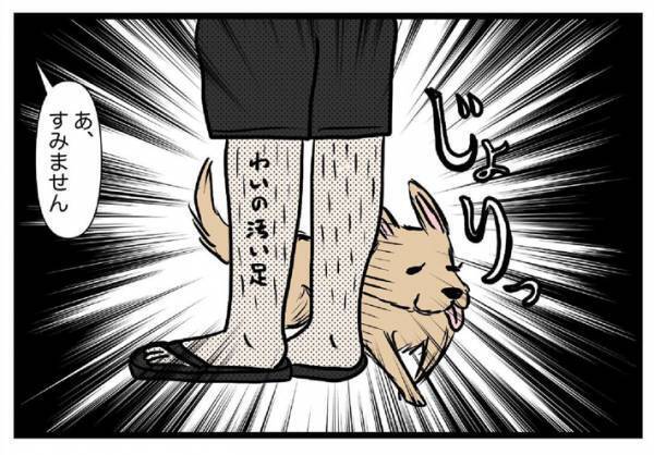 外を歩いていた男性　すると散歩中の犬が近付いてきて…？