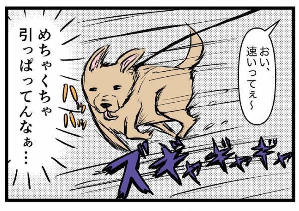 外を歩いていた男性　すると散歩中の犬が近付いてきて…？