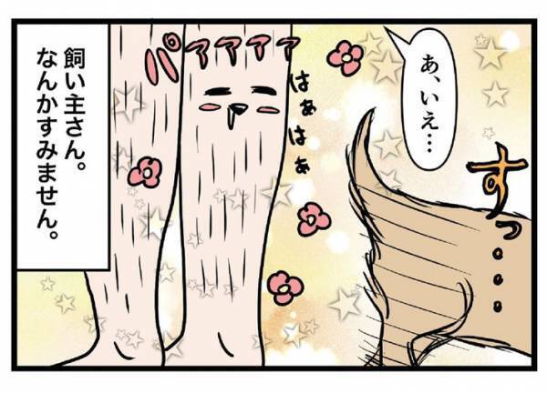 外を歩いていた男性　すると散歩中の犬が近付いてきて…？