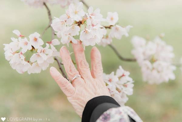 桜の下、孫が撮った家族写真　『３人』に心打たれる人が続出した理由は…