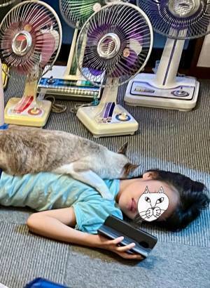 「子供たちが帰ってきた途端、猫がコレ」　癒しの光景に、１２万『いいね』！