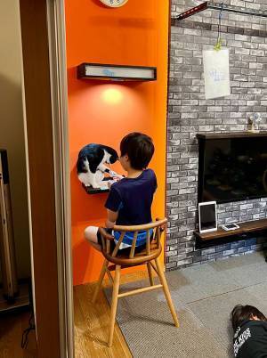 「子供たちが帰ってきた途端、猫がコレ」　癒しの光景に、１２万『いいね』！