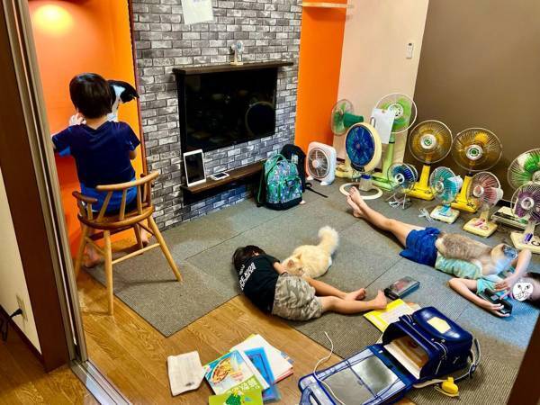 「子供たちが帰ってきた途端、猫がコレ」　癒しの光景に、１２万『いいね』！