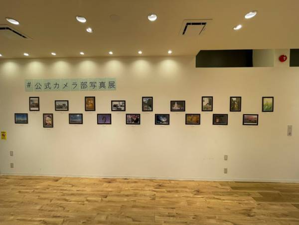 写真展の開催中、発覚したミス…　「静かにしないといけないのに笑った」