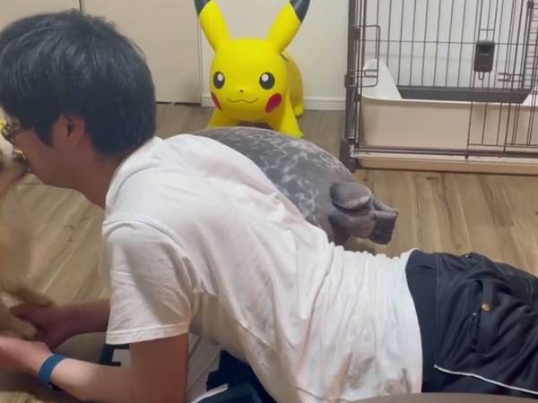 ものの数秒で筋トレを中断　理由に「爆笑」「うらやましい限り」