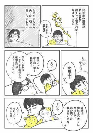 なぜか夫とは寝ない２匹の猫　嫉妬心のあまり、夫が…？