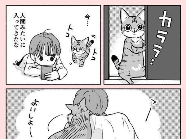 飼い主「時々すごく人間ぽい」　猫の行動に「最高ですやん」