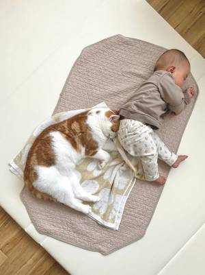 昼寝中の猫の姿に幸せが広がる　その理由が、コチラ