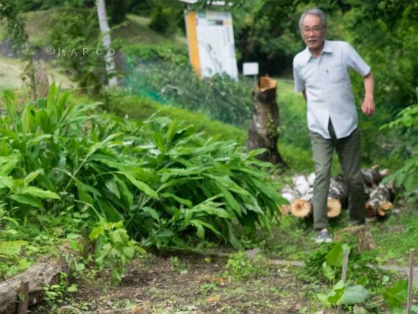 種を蒔いたばかりの畑に生き物が侵入！　正体に「吹いた」「じわじわくる」