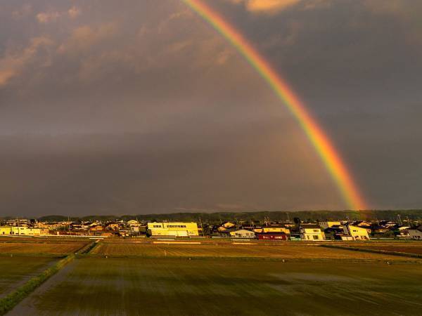 富山の夕暮れ時の風景　人々から絶賛された理由に、納得