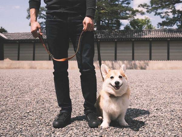 犬と散歩中の飼い主が、見知らぬ青年にかけられた『ひと言』に１３万いいね！