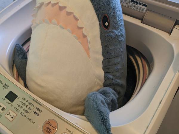 「心を鬼にして洗いました」「かわいそうでかわいい」　洗濯直前の１枚に反響