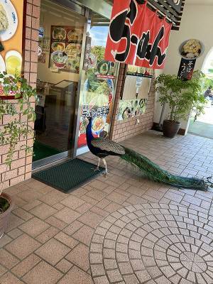 ラーメン店で目にした『衝撃的な光景』　来客の姿に「五度見した」「絵面が強すぎ」