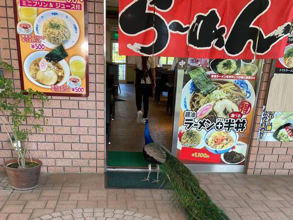 ラーメン店で目にした『衝撃的な光景』　来客の姿に「五度見した」「絵面が強すぎ」