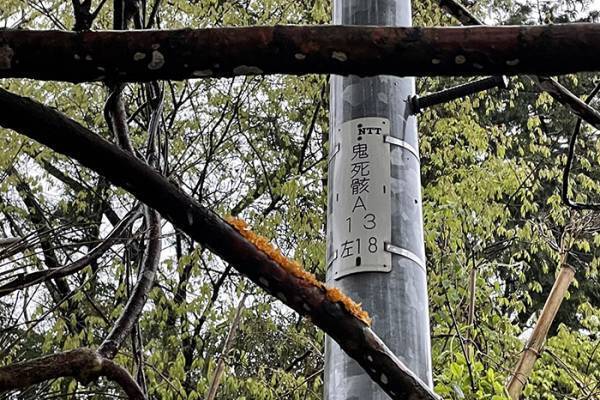 怖すぎる『バス停』に震える人が続出　「え、怖い…」「すごい地名だ」