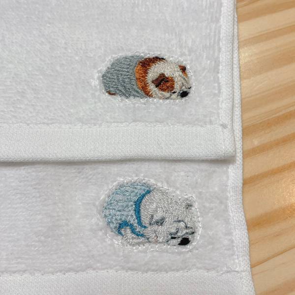 弟の恋人からもらった『プレゼント』　画像を見比べて「すごすぎる」と反響！