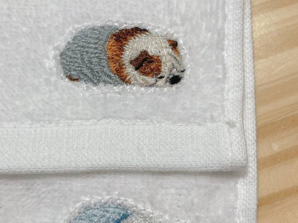 弟の恋人からもらった『プレゼント』　画像を見比べて「すごすぎる」と反響！