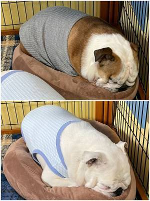 弟の恋人からもらった『プレゼント』　画像を見比べて「すごすぎる」と反響！