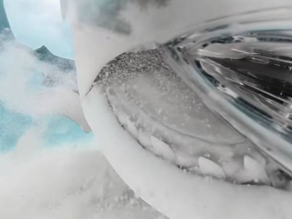 人喰いザメがカメラをパクリ！　撮影された映像に、腰が抜ける