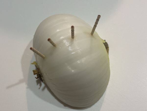 調理の幅が広がるかも？！タマネギの輪切りがバラバラにならないちょっとした工夫