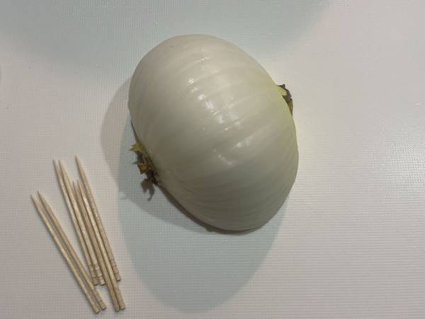 調理の幅が広がるかも？！タマネギの輪切りがバラバラにならないちょっとした工夫