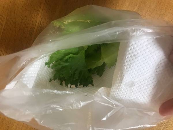 サラダスピナーいらず！野菜の水切りが簡単にできる方法とは？