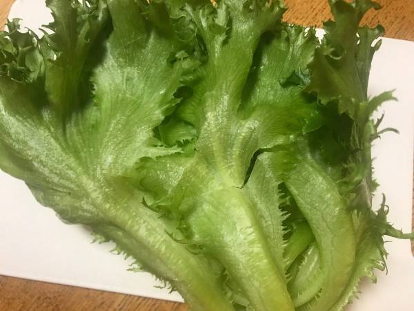 サラダスピナーいらず！野菜の水切りが簡単にできる方法とは？