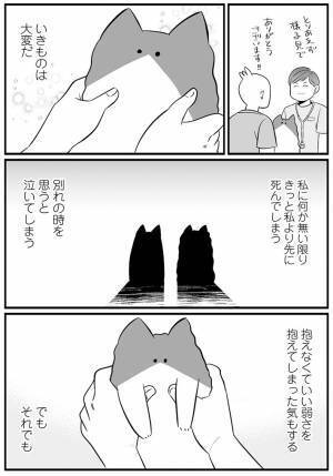 「心に刺さった」　猫と暮らす飼い主の『想い』に、目頭が熱くなる
