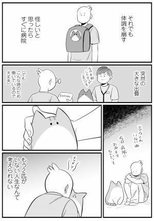 「心に刺さった」　猫と暮らす飼い主の『想い』に、目頭が熱くなる