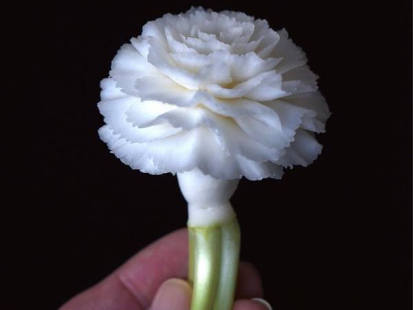 一見、白いカーネーションに見えるけど？　引きで見た時に衝撃！