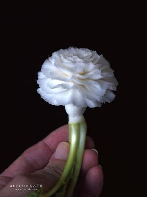 一見、白いカーネーションに見えるけど？　引きで見た時に衝撃！