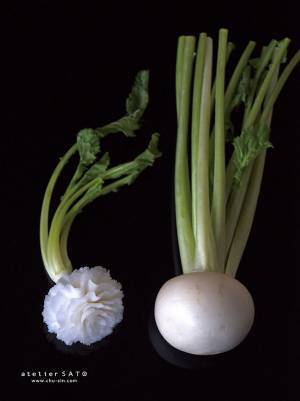 一見、白いカーネーションに見えるけど？　引きで見た時に衝撃！