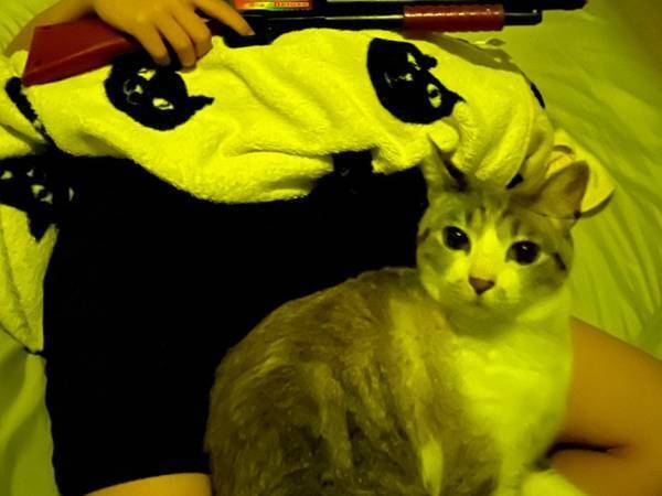 アクション映画に憧れている息子だが？　寝る姿に「無防備すぎる」