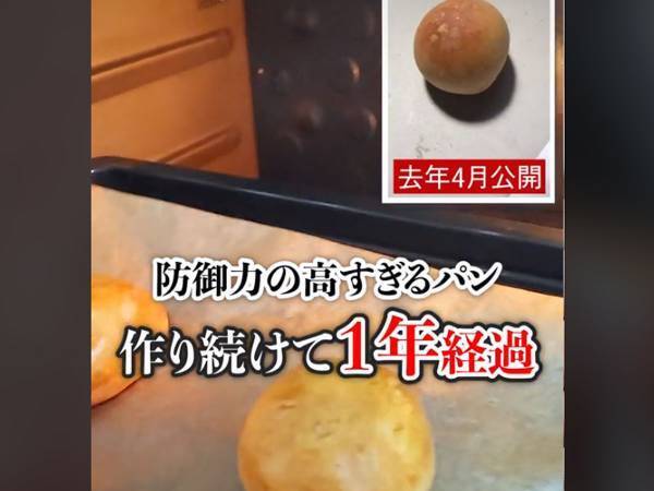 妻が作った『防御力が高すぎるパン』にツッコミの嵐！　しかし１年後…