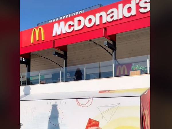 野良猫に優しいマクドナルド　動画に「最高！」「癒される光景」