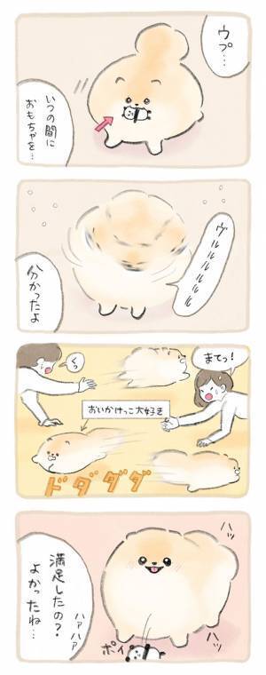 自由奔放なポメラニアン　飼い主がたくさん遊んだ結果が、こちら