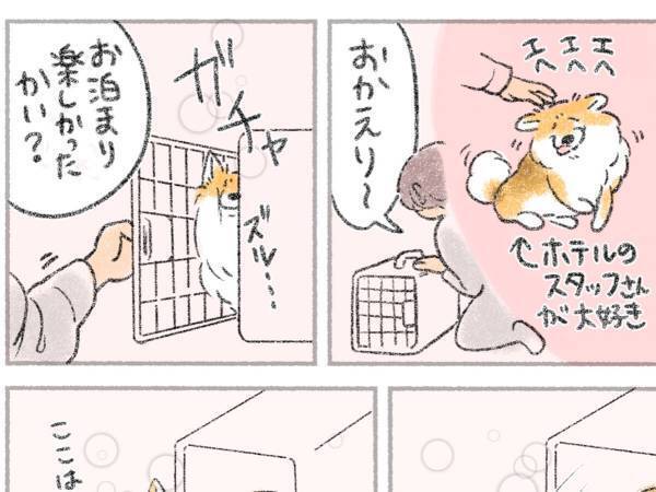 感動の再会かと思いきや…　ペットホテルから帰宅した、愛犬の反応は？