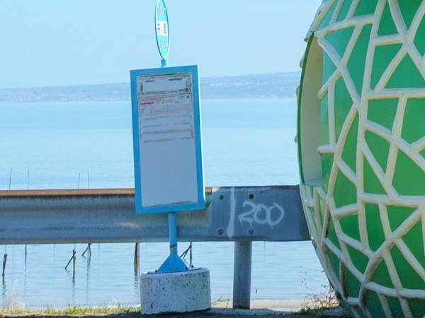 長崎県のバス停に「かわいい」の声！実は３０年以上愛されている癒しスポット？