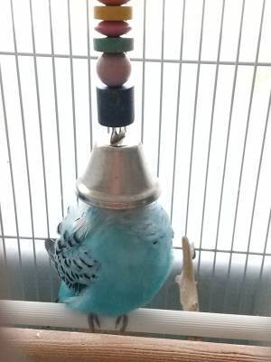 「二度寝しています」　クセが強い寝方に「笑った」「ジャストフィット」