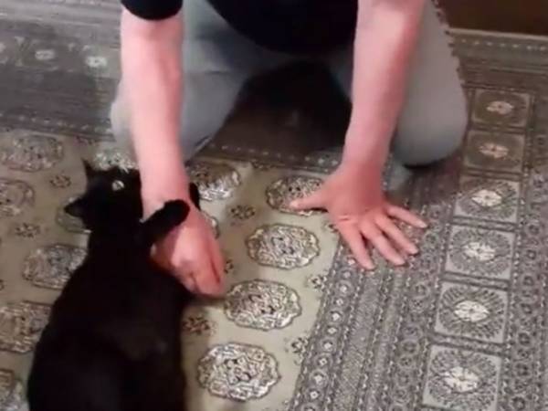 父親のことを大好きすぎる猫　その場を離れようとする父親に対し？