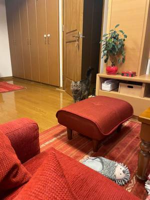 洋服を脱ぎ散らかして外出　帰宅後、服の中にいたのは？