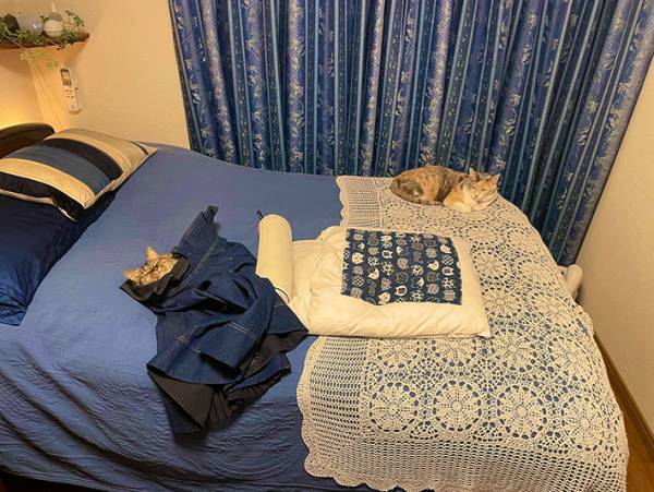 洋服を脱ぎ散らかして外出　帰宅後、服の中にいたのは？