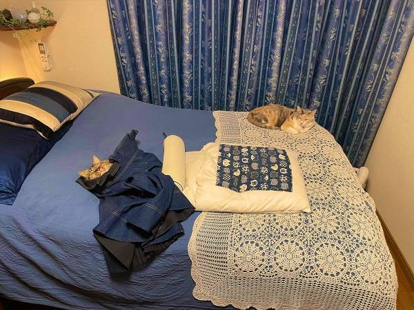 洋服を脱ぎ散らかして外出　帰宅後、服の中にいたのは？