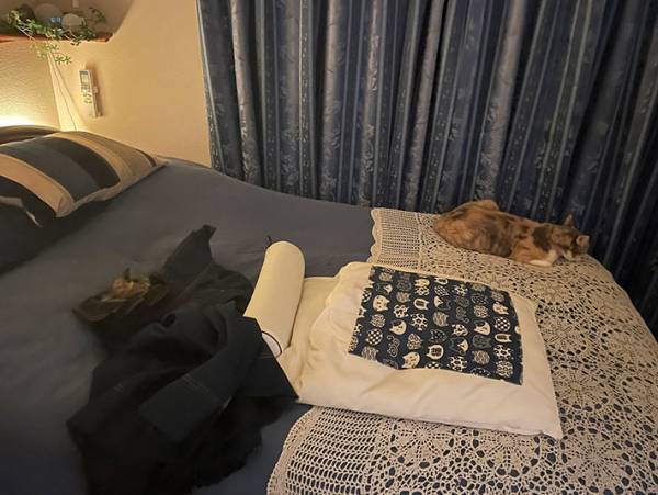 洋服を脱ぎ散らかして外出　帰宅後、服の中にいたのは？