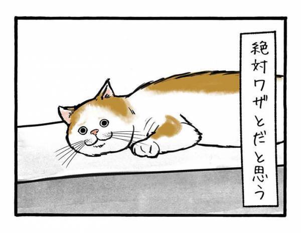 「絶対わざとだ…」　職人と猫の攻防に「笑った」「お疲れ様」の声