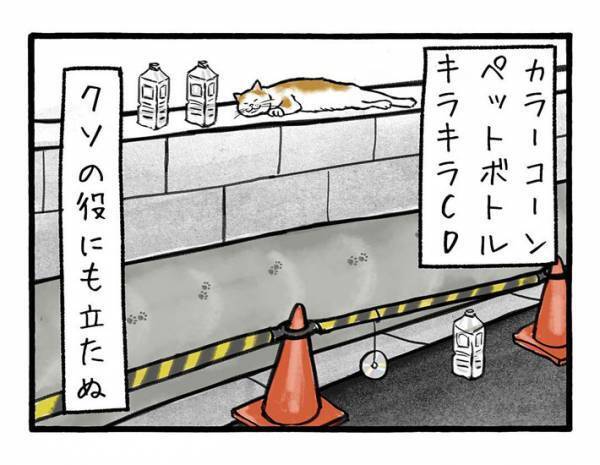 「絶対わざとだ…」　職人と猫の攻防に「笑った」「お疲れ様」の声