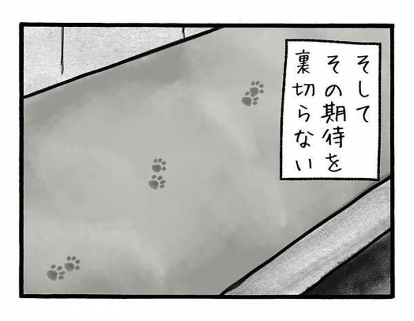 「絶対わざとだ…」　職人と猫の攻防に「笑った」「お疲れ様」の声