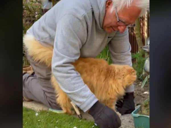 これは無視できない…　「飼い主の庭仕事がはかどらない理由」に共感の声