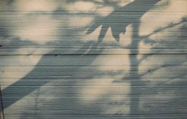 目は心の鏡　今の混沌とした世界に優しいまなざしという癒しを