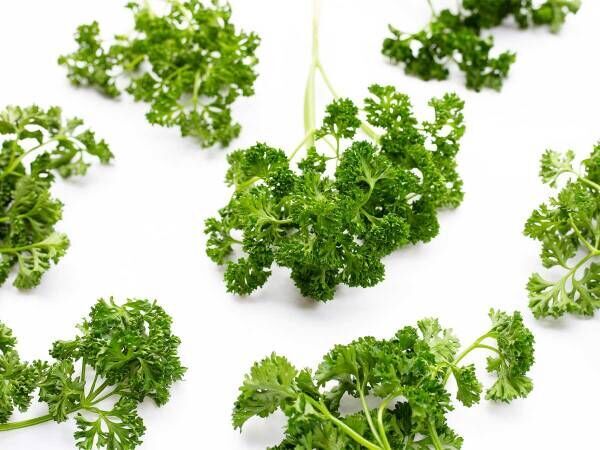 知ってる パセリの意外な役割 残さず食べる がおすすめの理由とは 22年5月日 ウーマンエキサイト 1 2